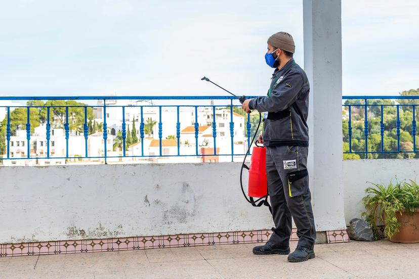 3 techniques écologiques pour éliminer les insectes sans pesticides chimiques